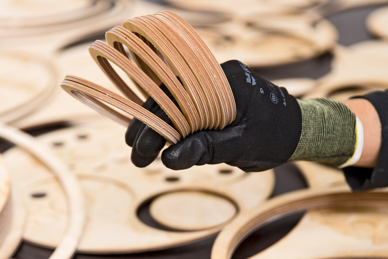 Une main tient des anneaux de bois fraîchement coupés.