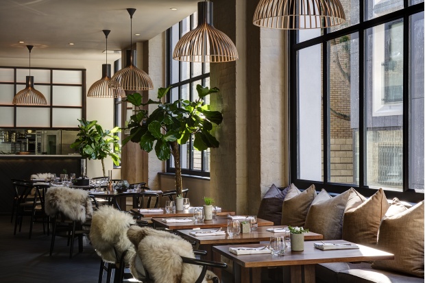 Victo 4250 155 Bar and Kitchen. London, UK. Photo by Ed Reeve.