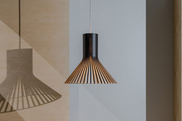Puncto 4203 pendant lamp
