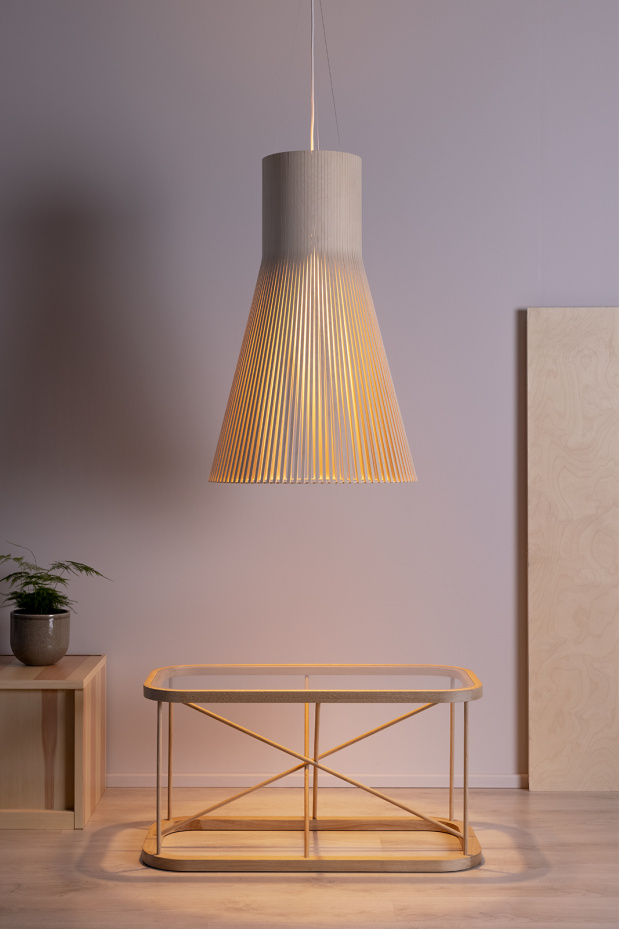 Magnum 4202   Model room